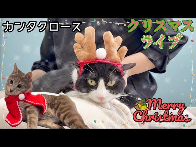 カンタクロースがやってきたクリスマスライブ