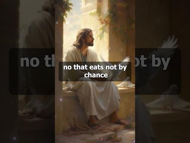 Il messaggio di Dio per voi oggi #dio #diodice #messaggioangelico #shorts