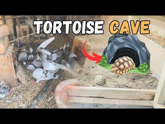 Tortoise ky liay hidding space bna di or Pigeons ko kia hogya?  #aquariumpets #petsvlog #vlog