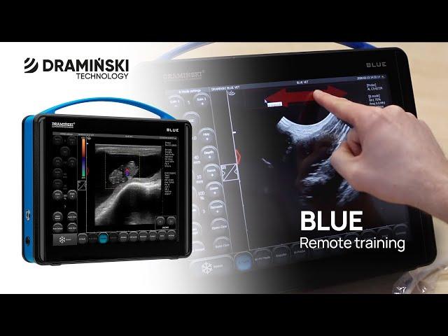 Remote ultrasound training. DRAMIŃSKI BLUE ultrasound scanner (en)