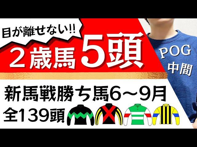 【競馬】【一口馬主】新馬戦勝ち馬全139頭！気になる５頭！POG上位人気馬は…