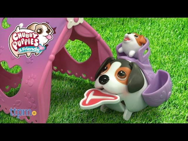 Chubby Puppies and Friends Camping Pups from Spin Master