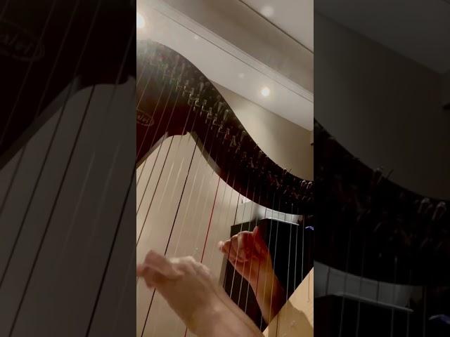 SakuraSakuraCherry Blossoms on Harp~ #japanesefolksong #springtime#HarpImprovisation#insomnia