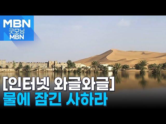 [인터넷 와글와글] 50년 만의 폭우에 사막에서 호수 생겨나 [굿모닝 MBN]