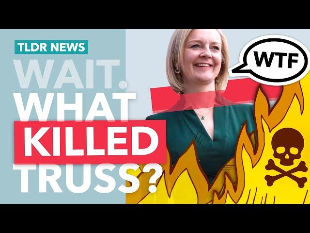 Liz Truss' Collapse: A Timeline of Chaos