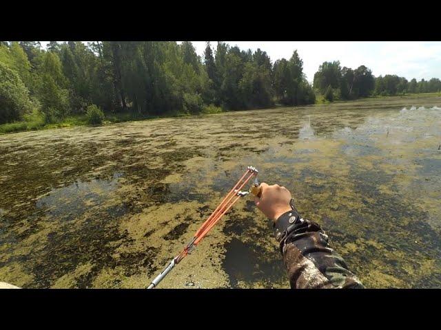 РЫБАЛКА С РОГАТКОЙ ЛЕТОМ С ЛОДКИ В ИЮЛЕ | Slingshot Fishing #87