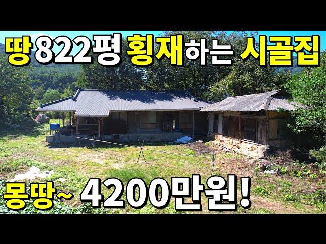 땅822평 초헐값 시골집! 수~억짜리 대폭락 결국~몽땅 4,200만원! 텃밭이 축구장 수준~