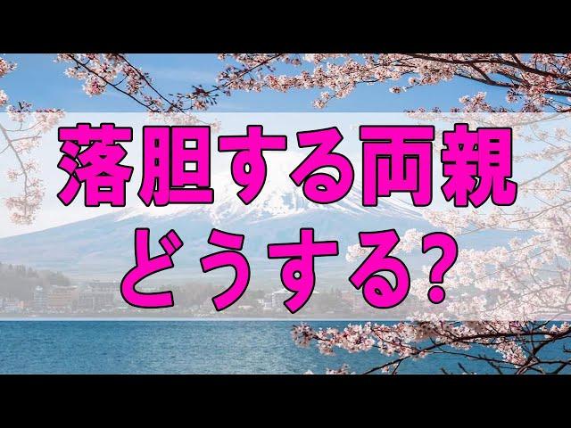 テレフォン人生相談 大学院の息子がユーチューバーを目指す!落胆する両親!どうする？