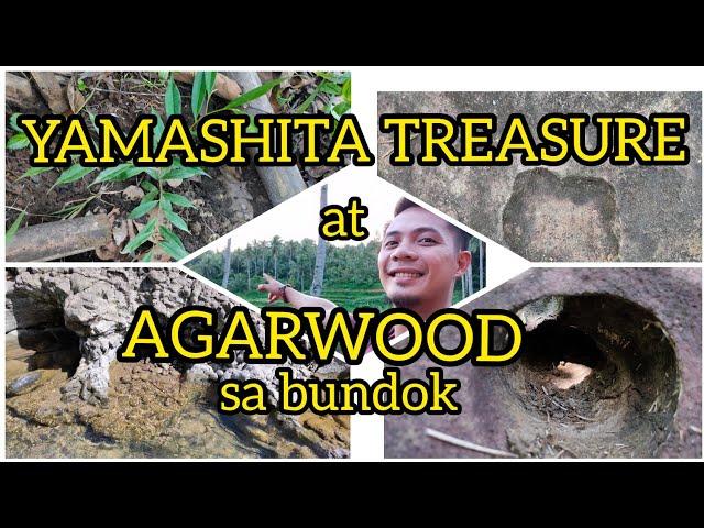 YAMASHITA TREASURE and AGARWOOD