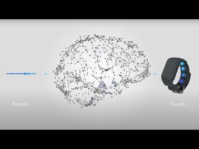 Neosensory Duo for Tinnitus