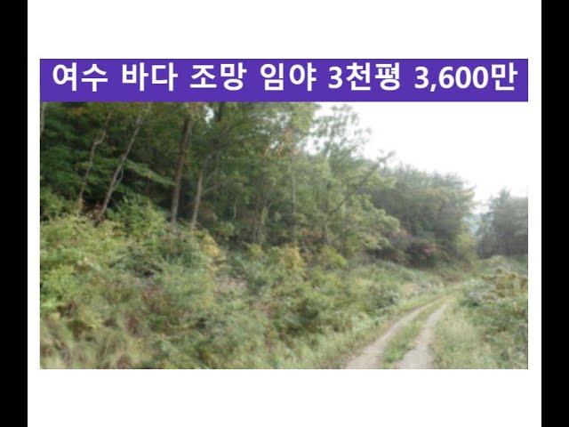 여수 바다 조망 임야 3천평 3,600만