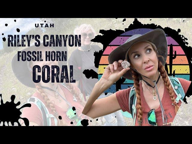 Geologist FINDS RAREST RED HORN CORAL Riley's Canyon RED Horn Coral