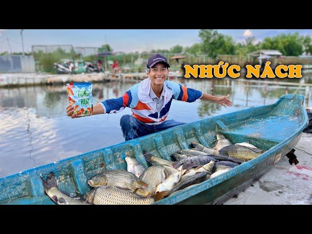 ĐÁNH LỬNG SĂN CẢ BẦY CHÉP CỰC KHỎE | VIETNAM FISHING TV