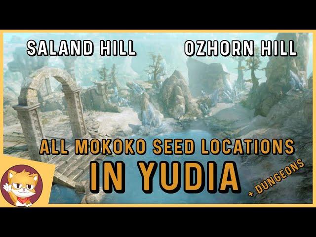Where To Find All Mokoko Seeds in Yudia | Lost Ark Mokoko seed locations