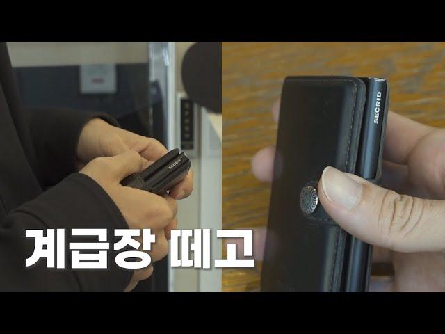 실용성 챙기는 S에게 추천하는 | 시크리드 SECRID 카드지갑 | 장점3 단점2