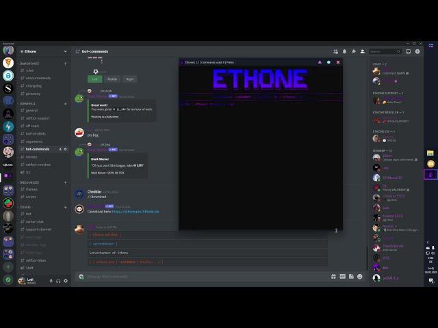 How to inject a custom script | Ethone Discord Selfbot