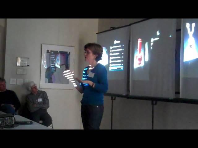 Description of the Zapplication software used to jury the Saint Louis Art Fair