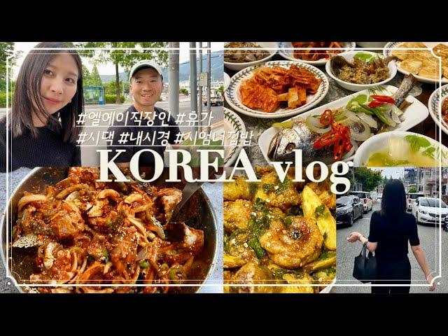 Ep. 78 - Korea Travel vlog 일년에 한번 시댁방문  상다리 휘어지는 아들 며느리 사랑 