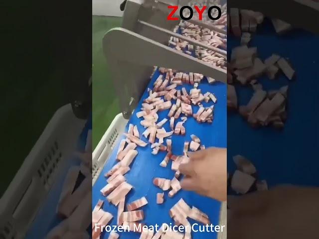Automatic Frozen Meat Slicer Dicer Cutter with Belt Conveyor
