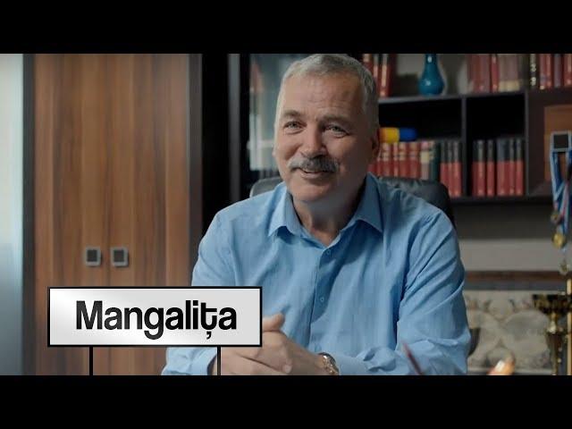 Stelu, primarul din Mangalița, prins în flagrant cu șpagă: Este doar o manieră diferită de a mulțumi