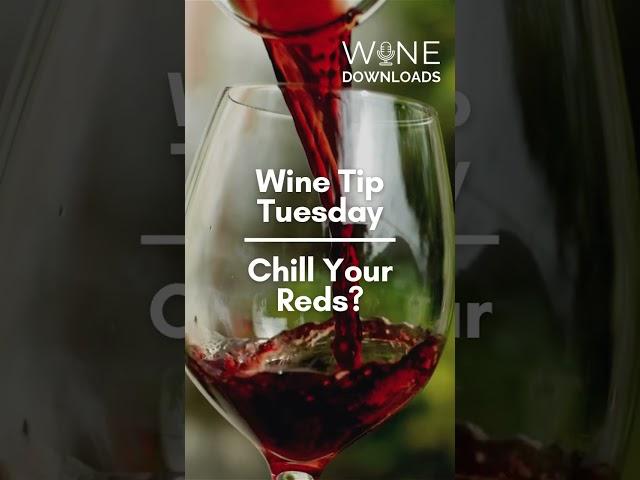 Wine Tip Tuesday