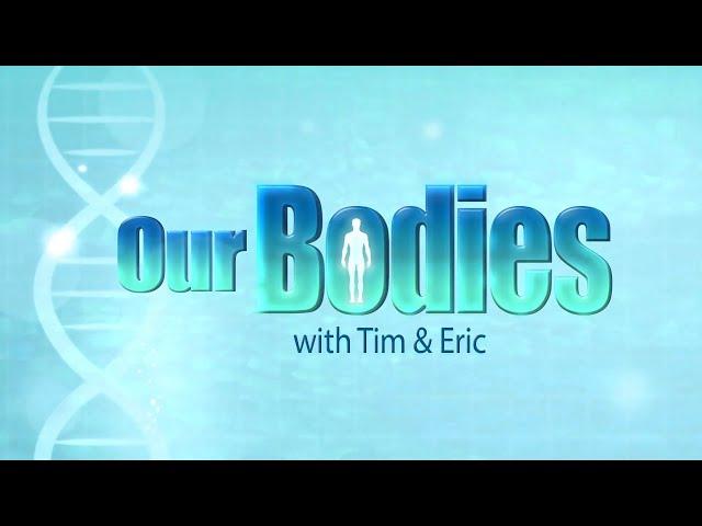 𝗢𝘂𝗿 𝗕𝗼𝗱𝗶𝗲𝘀 with Tim and Eric - Full Series | Channel 5 #adultswim