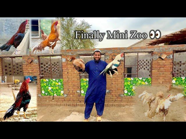 Finally Mini Zoo Look  Sary Aseel Full Happy 