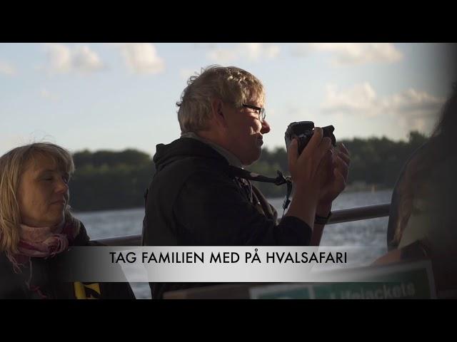 Familieferie i centralt i Danmark