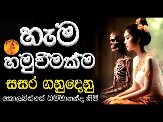 හැම බැඳීමක්ම සසර ගනුදෙනු පින්වතුනි | 2024.06.12 KOLABISSE DAMMANANDA THRO@wassanadarmadeshana9842