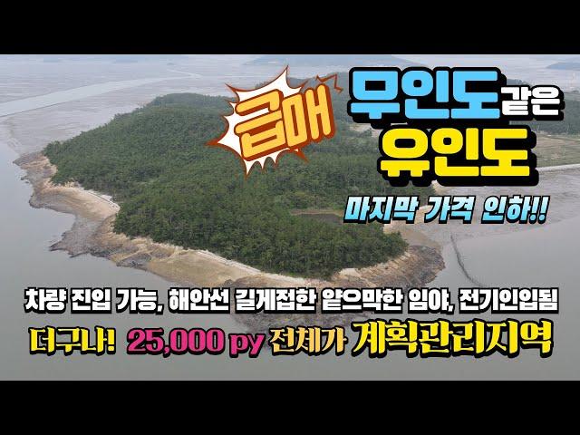 [목포토지사랑 253] 가격 또 인하! 해안선 길게 접한 무인도같은 유인도 전체 계획관리 임야 25,000py ㅣ매매가 6억5천만원(3.3당 26,000원)