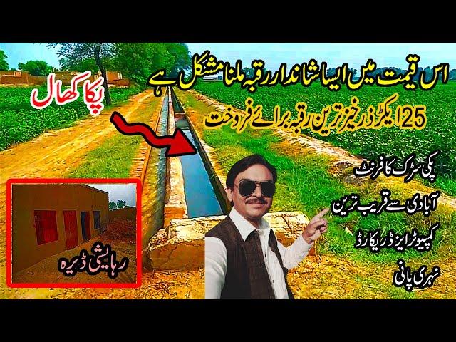 25 ACRE RAQBA Cheap Agriculture Land For Sale In Punjab Pakistan