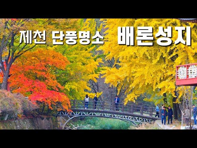 제천 단풍명소/꼭 가봐야할 가을여행지, 제천여행, 배론성지, 충청단풍명소,   단풍구경, 단풍명소, Jecheon Maple Foliage Spot Baeron Shrine