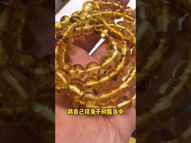 【琥珀 蜜蜡 直播】 天然匠心精品缅甸 琥珀 蜜蠟 蜜蜡 藏品 ｜ 琥珀直播 蜜蜡直播 蜜蠟直播 ｜ 琥珀教学 蜜蠟教學 蜜蜡教学｜ Burmese amber ｜ 緬甸天然 #琥珀 #蜜蜡 #蜜蠟