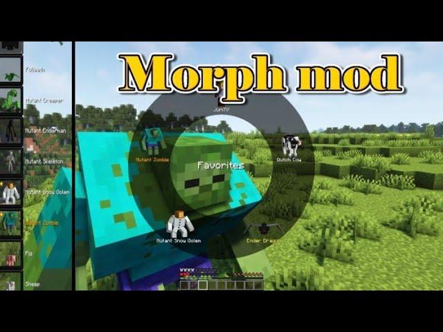 Minecraft 1.16.5 - Morph mod