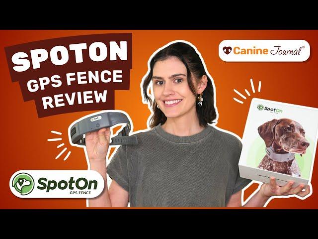 SpotOn GPS Dog Fence – Is It Really Reliable? Honest Review & Our Experience