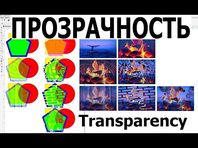 Как применить инструмент прозрачность, tool Transparency CorelDraw. Уроки. Обучение. Курс КОРЕЛ ДРО