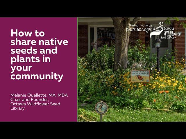 How to share native seeds and plants in your community