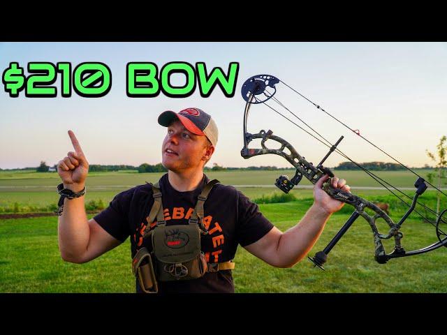 $210 Amazon Bow Review | Bear Salute