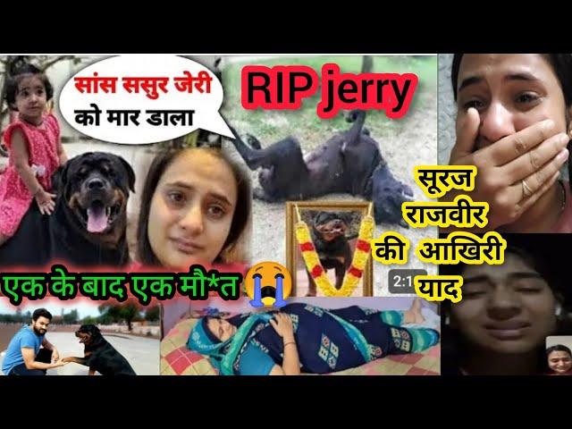 RIP Jerry The Rott सूरज की आखिरी याद JERRY अब इस दुनिया में नहीं रहा Snappygirls SnappygirlNewvlog