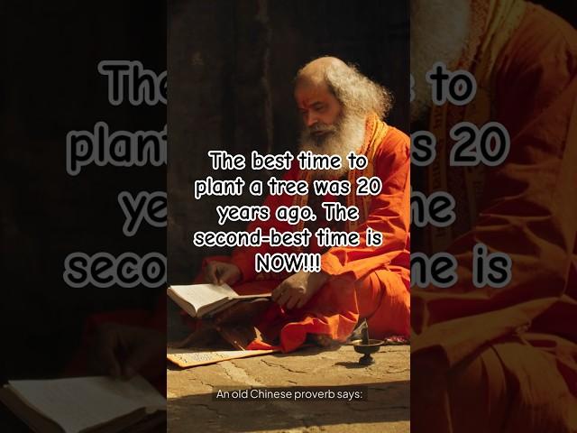 The best time to plant a tree was 20 years ago. The second-best time is now #proverbs #quotes