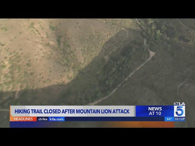 Hiking trail closed after mountain lion attack