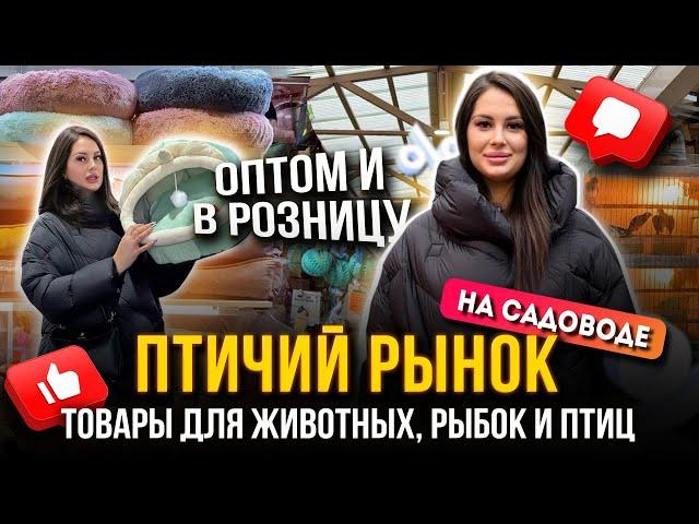 ПТИЧИЙ РЫНОК НА САДОВОДЕТОВАРЫ ДЛЯ ЖИВОТНЫХ, РЫБОК И ПТИЦ  Рынок Садовод Москва