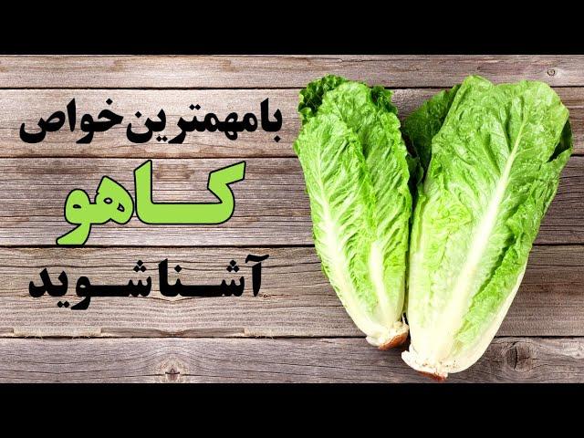 با مهمترین خواص کاهو آشنا شوید