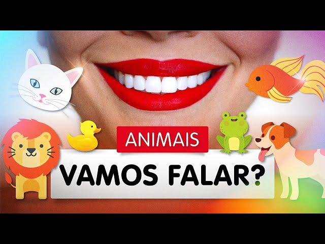 VAMOS FALAR? ANIMAIS! Compilação de UMA HORA com vídeos e músicas educativas!