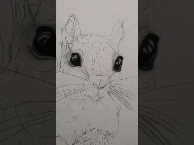  How to Draw Hyper-Realistic Squirrel Eyes – Work in Progress#viralvideo #art #drawing #drawing