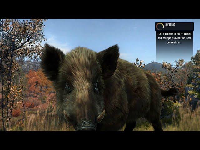 Cabela s Big Game Hunter -  Pro Hunts(simulacija Lova)