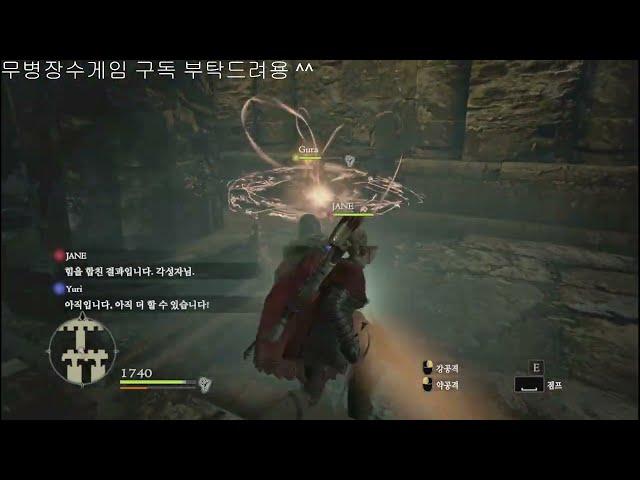 49, 드래곤즈 도그마, Dragon's Dogma, 끝없는 전투, #드래곤즈도그마 #무병장수게임