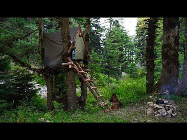 Building Complete and Safe Survival Shelter - Bushcraft Camping in the Wilderness with My Dog