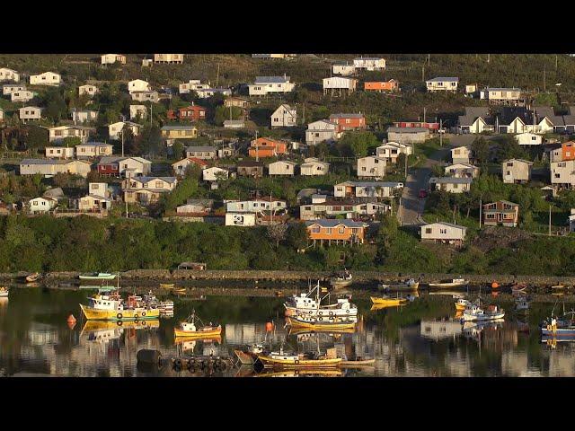 #TesorosHumanosVivos - Tejueleros de ciprés de las Güaitecas - Documental