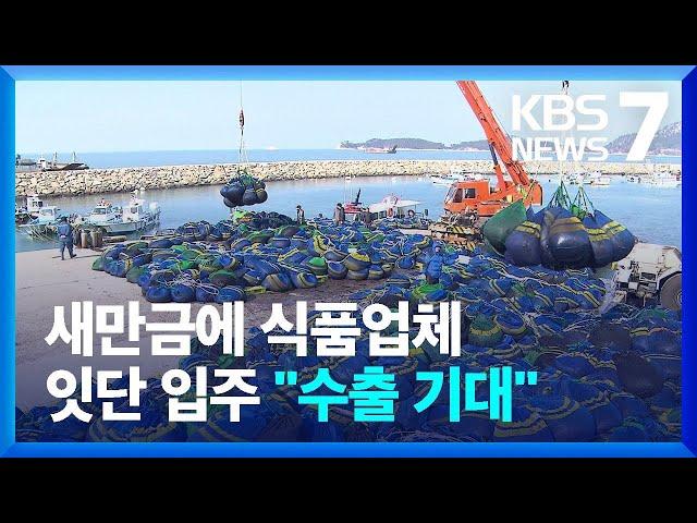 새만금 수산식품업체 잇단 입주…해외 수출길 여나 / KBS  2024.10.28.